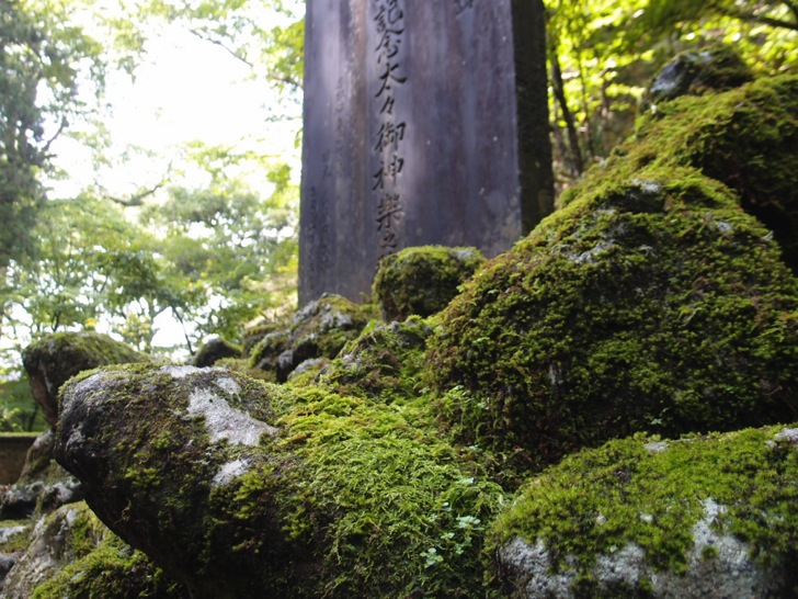 榛名神社の苔