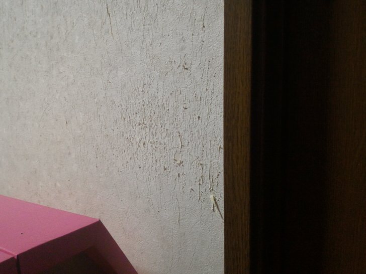 ネコにひっかかれた壁