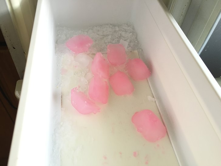 氷キレイの製氷機回路洗浄剤