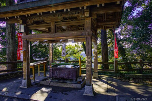 猫の楽園唐沢山神社