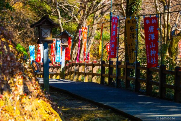 猫の楽園唐沢山神社