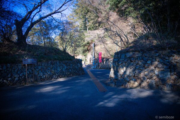 猫の楽園唐沢山神社